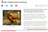 Przytulić ptaszynę nabrało dosłownego znaczenia