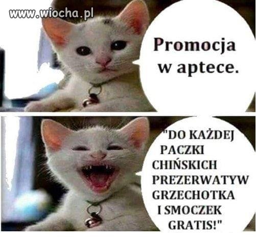 Promocja
