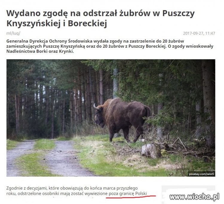 I jak tam prawaki
