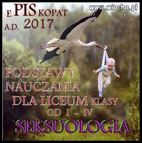 Nowa podstawa programowa WDŻ