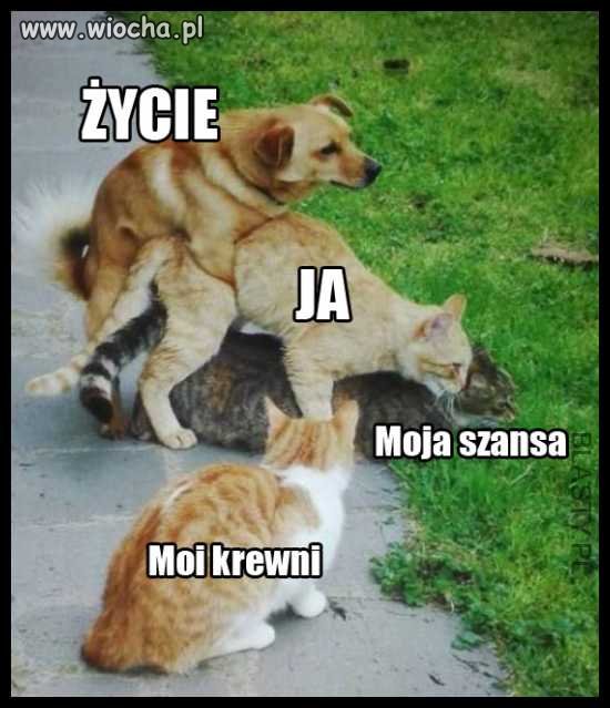 Ech... jakie to prawdziwe