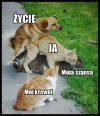 Ech... jakie to prawdziwe