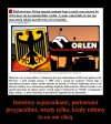 W ramach rewanżu powinniśmy bojkotować Lidla, Kaufland