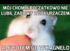 Zabawa z chomikiem
