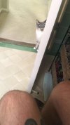 Kiedy idziesz na pewniaka do kibla