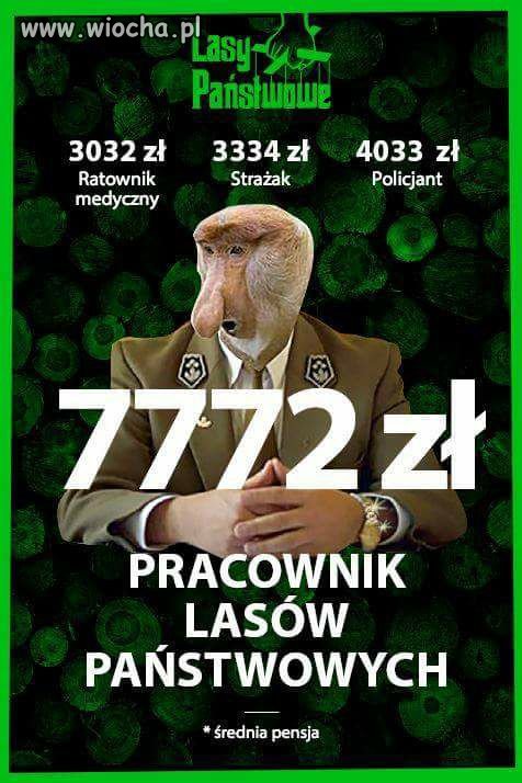 Wszędzie dobrze