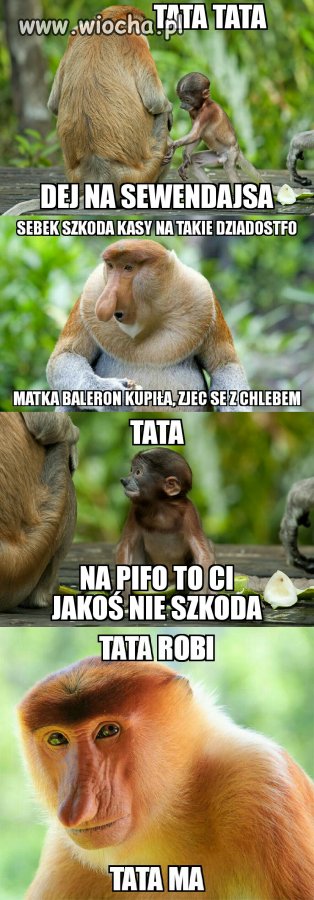 Janusz i Sebek