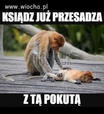 Ksionc
