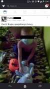 Dr. Brajanek na FB