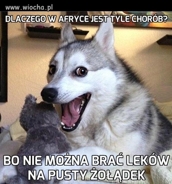 Żart suchy jak jeziora w Afryce