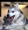 Żart suchy jak jeziora w Afryce