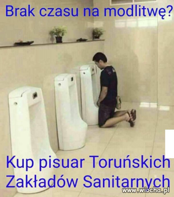 Toruński PISUAR