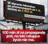 Teraz to widać jak pis