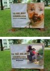 Czekolada