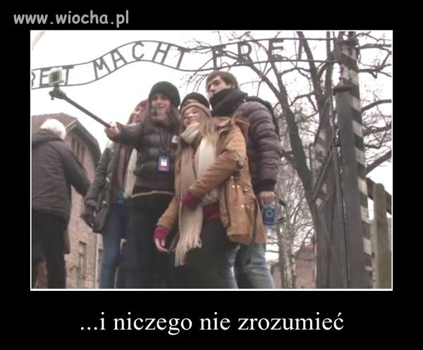 Ich oczy wyrażają tęsknotę za rozumem.
