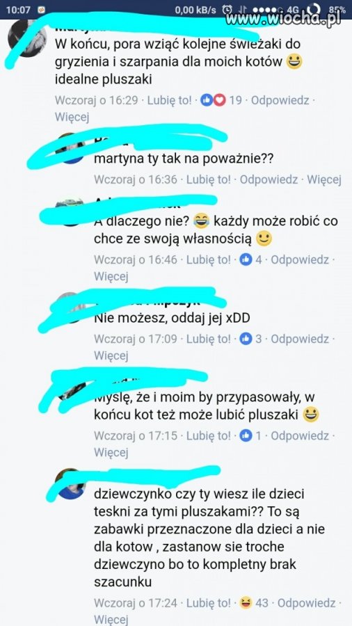 Gang Świeżaków