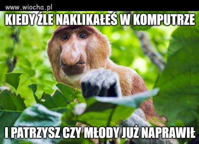 Ciekawe czy Pioter już wyreperował