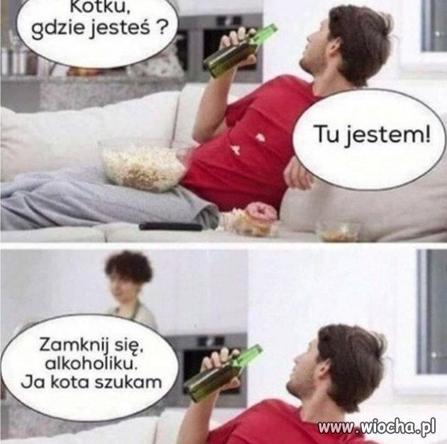 Kotku
