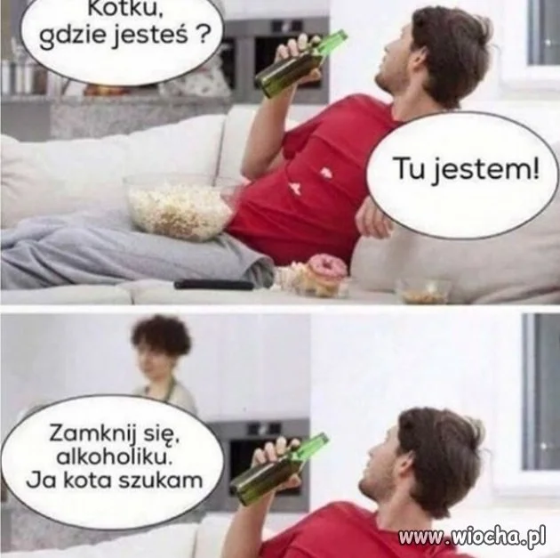 Kotku