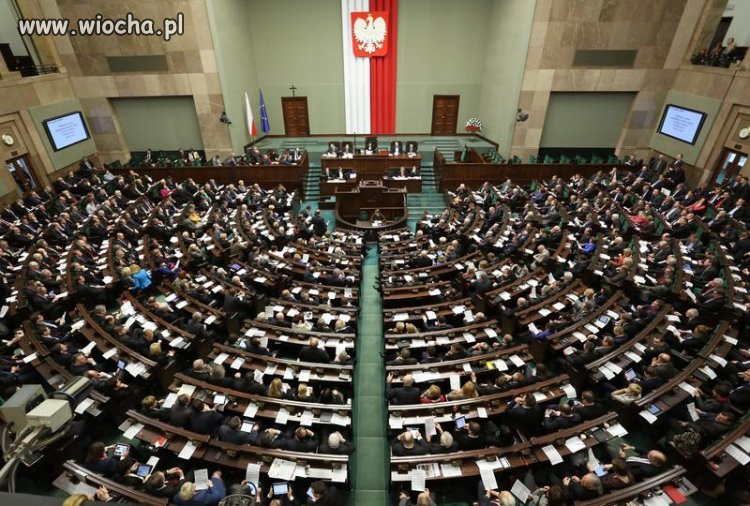 Prawdziwi politycy 