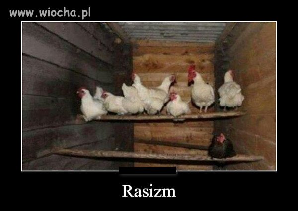 Bez komentarza