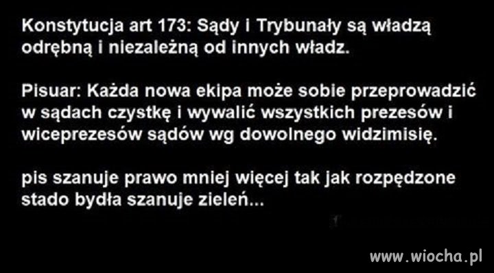 Prawo
