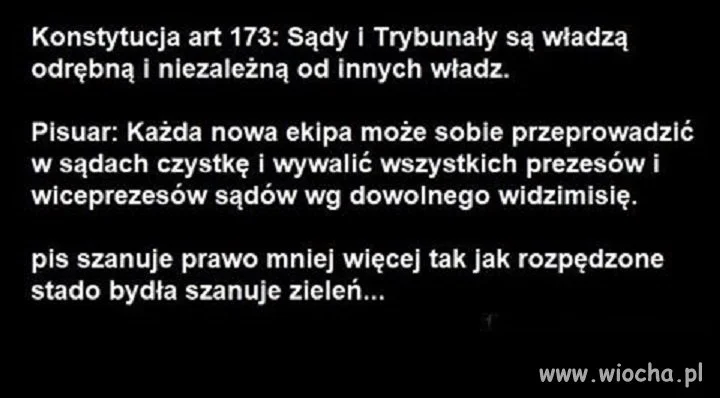 Prawo