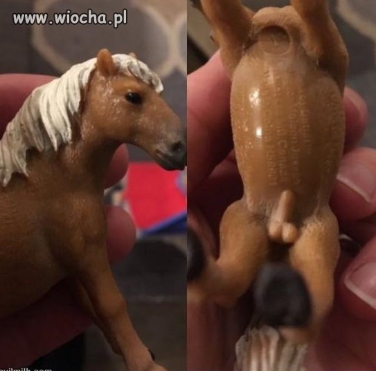 Widocznie dla producenta