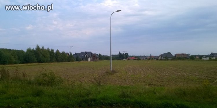 Stoję w szczerym polu w Kębłowie