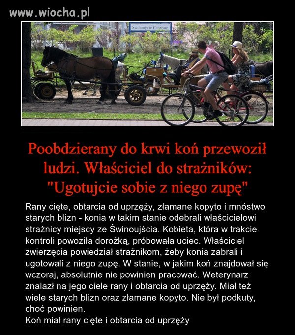 Winni takiego stanu rzeczy są sami turyści 