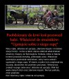 Winni takiego stanu rzeczy są sami turyści 