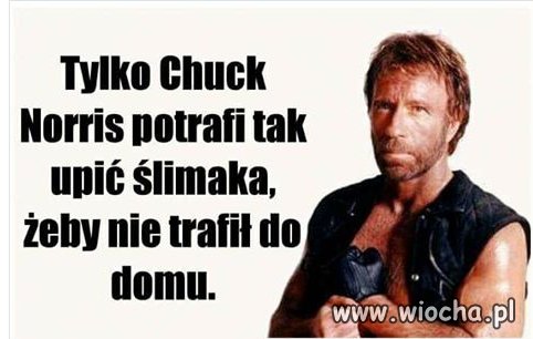 A tylko poseł Karski potrafi rozpędzić tak
