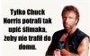 A tylko poseł Karski potrafi rozpędzić tak