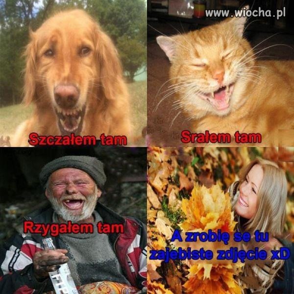Jesień