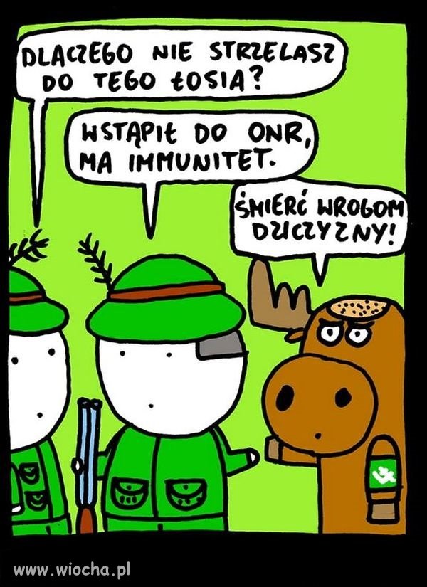 Łoś Super ktoś