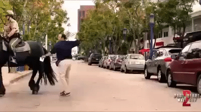 WTF...