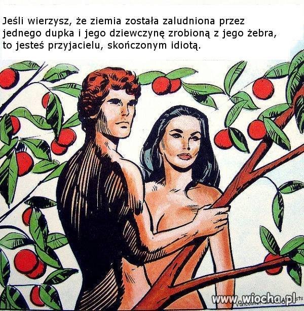 Niezła bajka