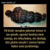 Sposób na wnerwiających sąsiadów