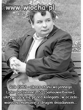 Stan wojenny 