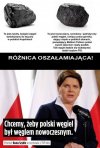 Chyba musiała być