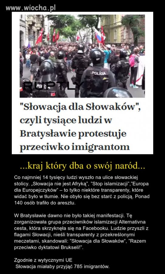 Chwała za to Słowakom!