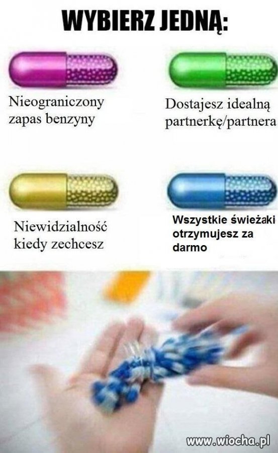 Świeżaki to życie