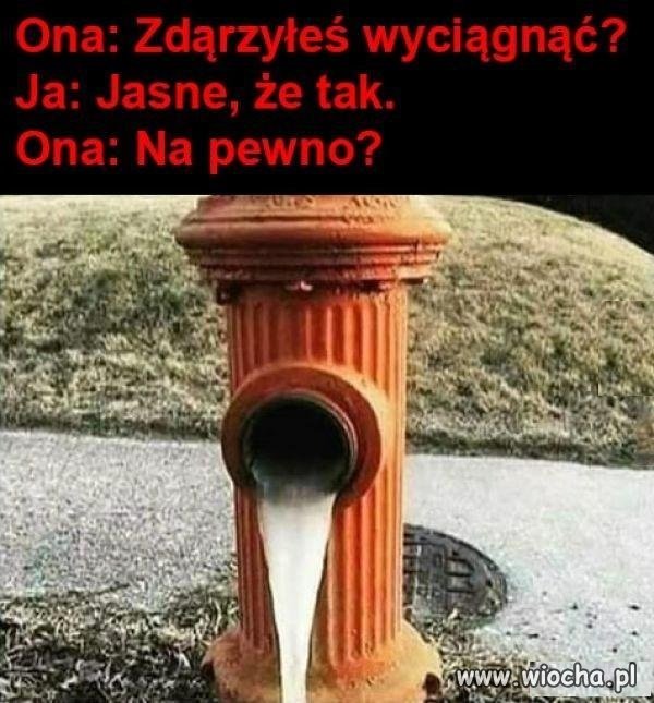 Bywa