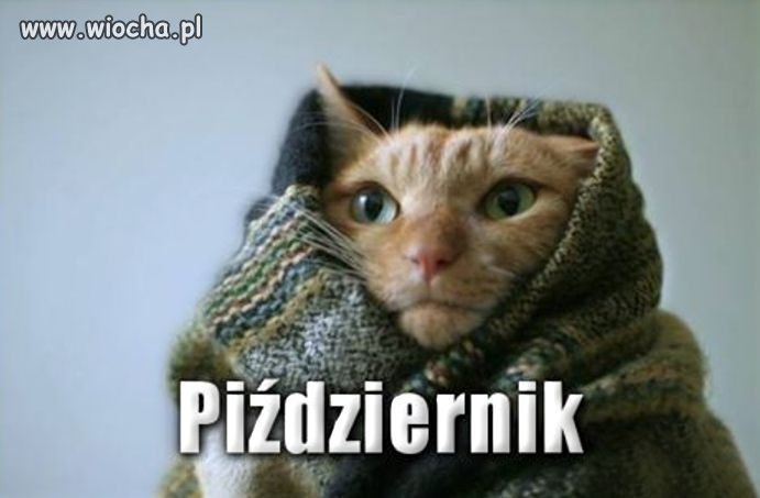 Powoli się zbliża