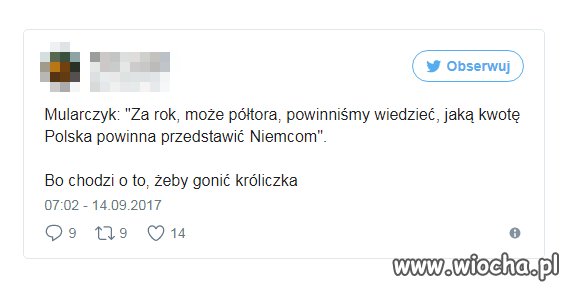 BO wybory?