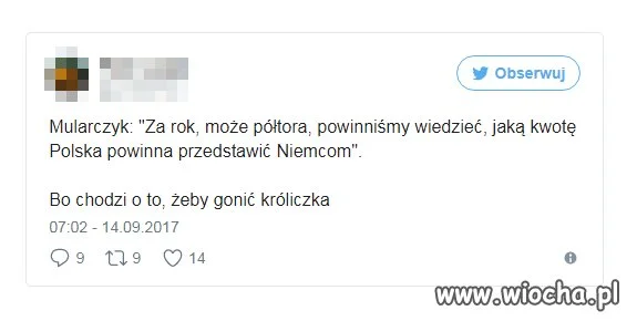 BO wybory?
