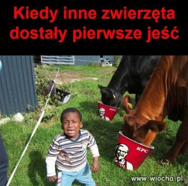 Pierwsze