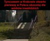 Tymczasem w Krakowie