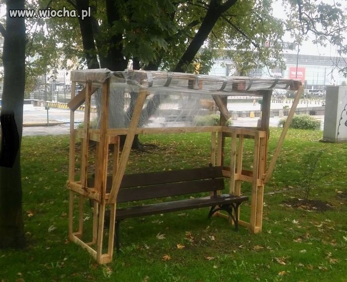 Kreatywność żulików w parku bije wszelkie rekordy