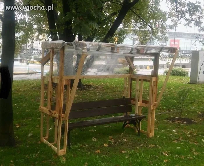 Kreatywność żulików w parku bije wszelkie rekordy